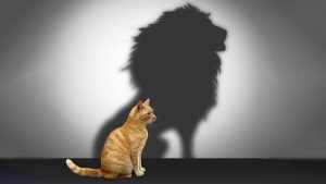 Hire Leaders for What They Can Do, Not What They Have Done چگونه یک مدیر مناسب را بیابیم؟