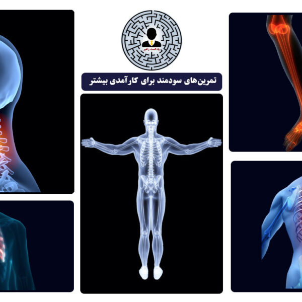 تمرین‌هایی برای پیشگیری یا کاهش دردهای اسکلتی و ماهیچه‌ای